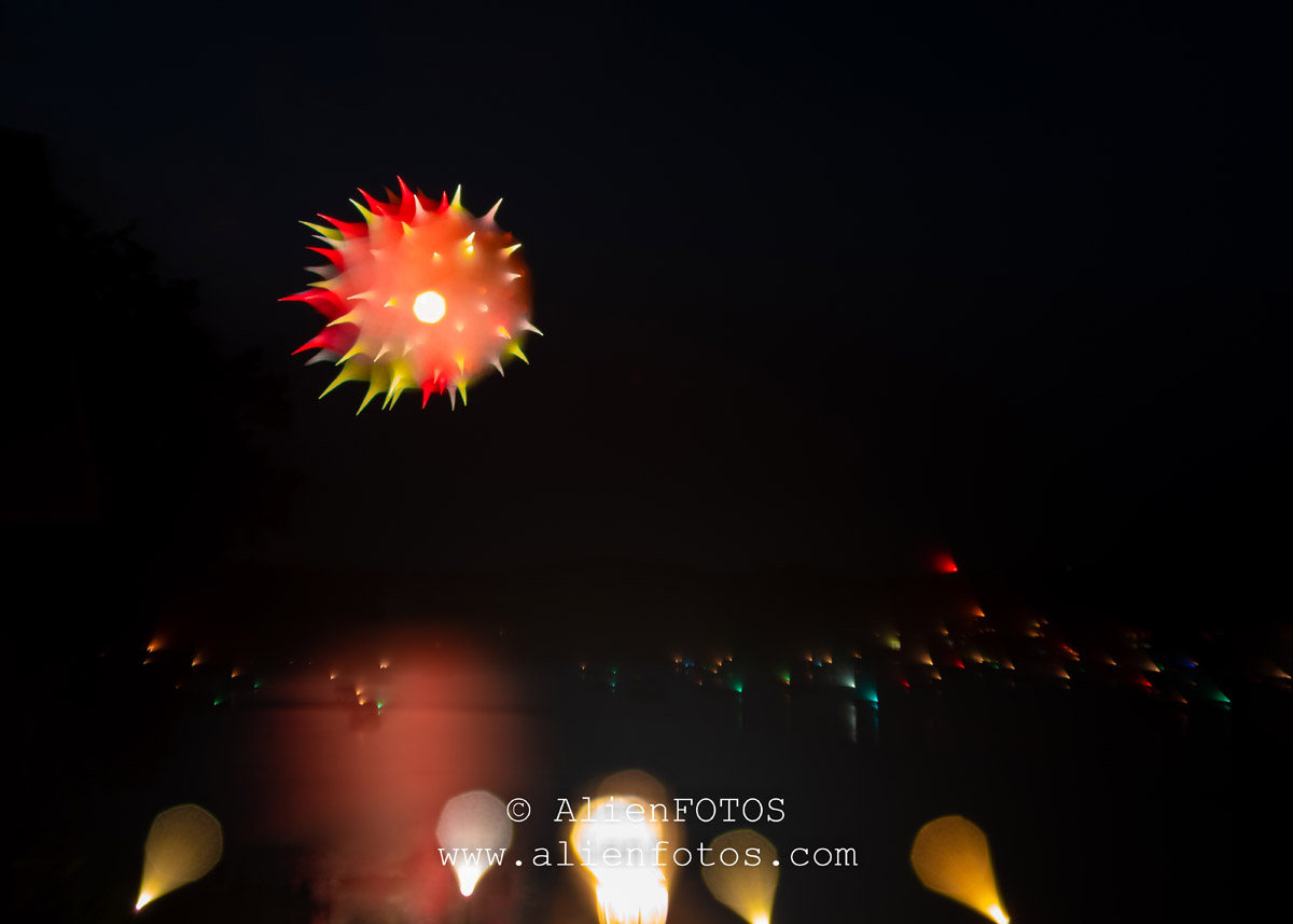 Fireworks 9442